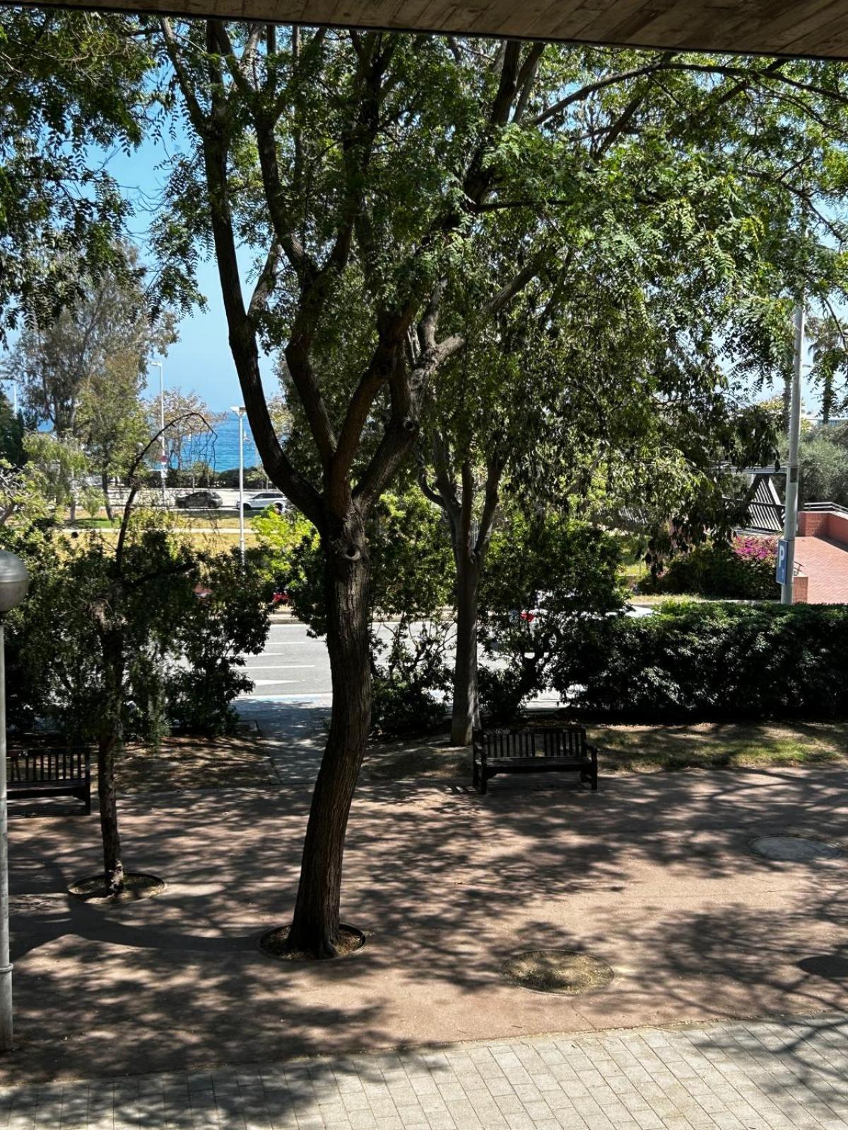 Beachfront Family Oasis - 2br For 4 Barcelona
