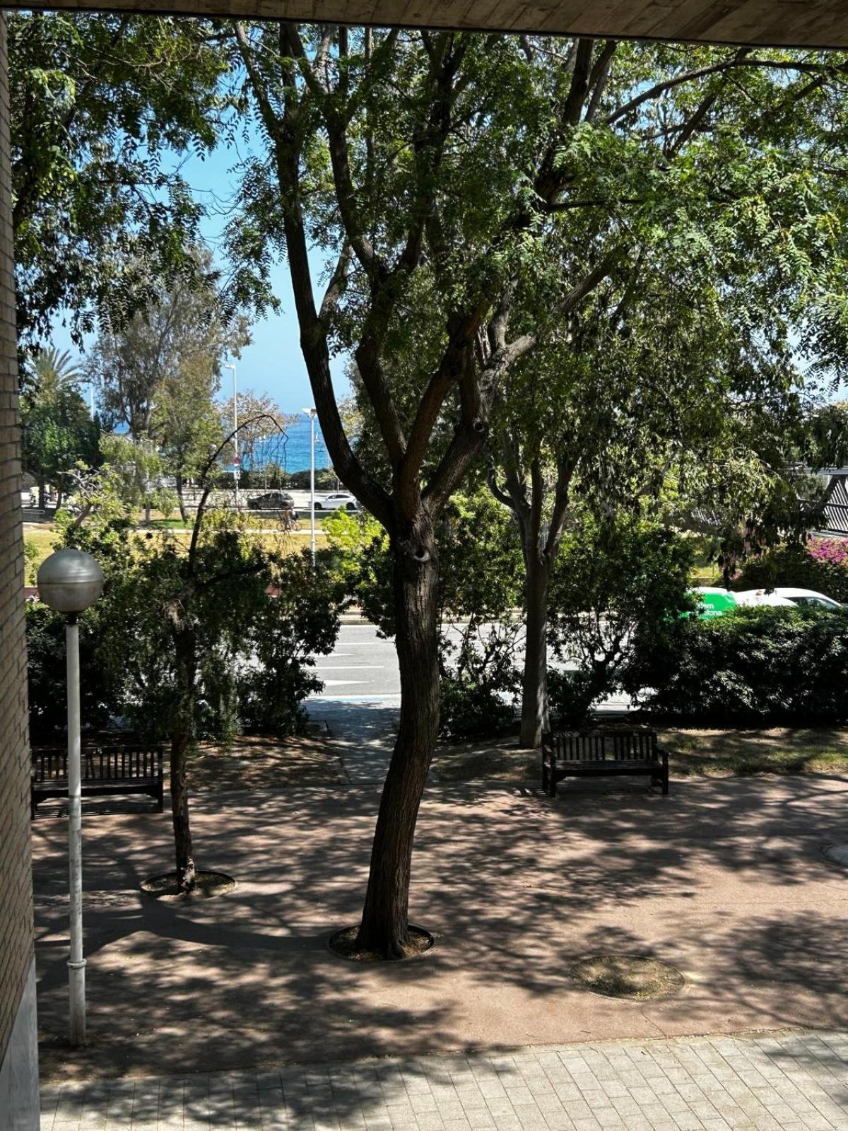 Beachfront Family Oasis - 2br For 4